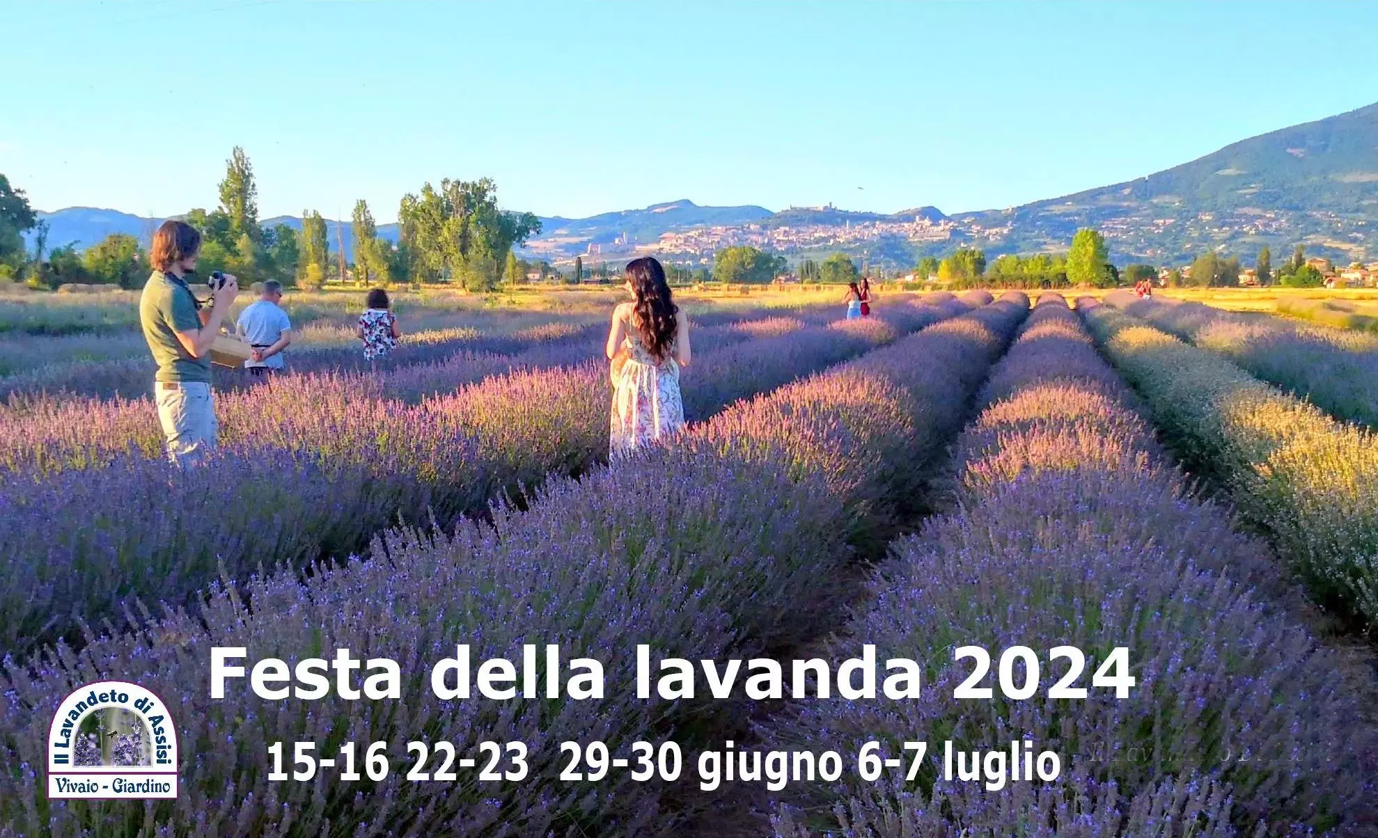 due persone che camminano in mezzo a un campo di lavanda