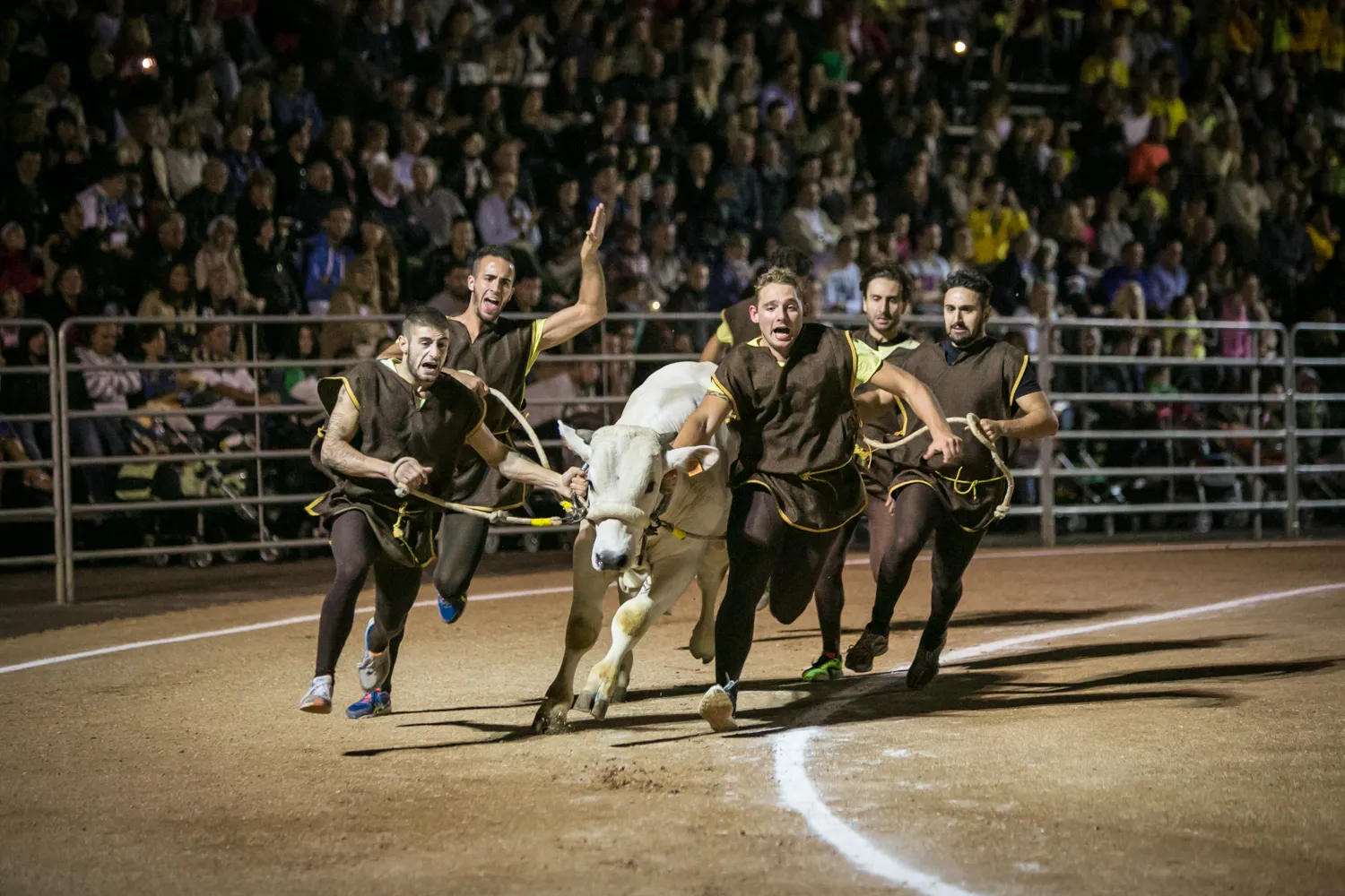 Vaporetti che corrono a Spoleto e suggeriscono corse pazze Umbria