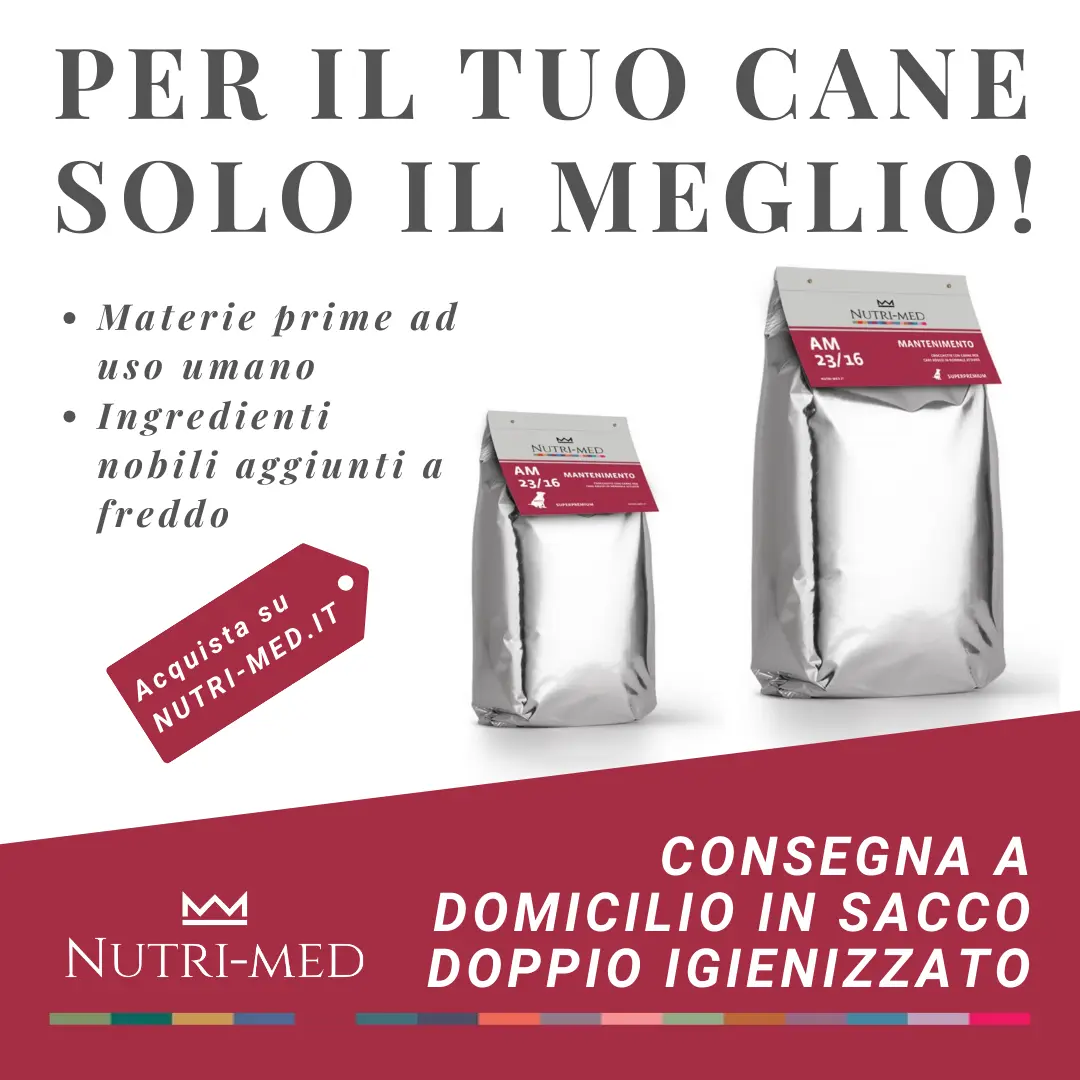 locandina della quarta edizione della biennale di fiber art spoleto 2025